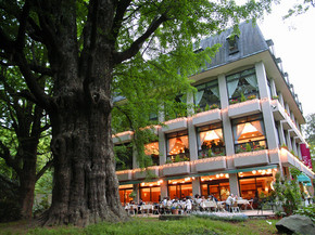 2008���絾���ѧ ���ʲ�|